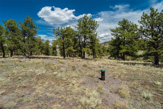 129 Eagle Nest Trl, Guffey, CO 80820