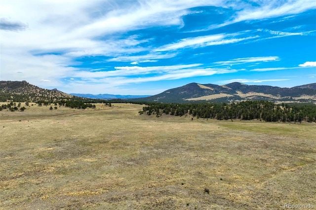 129 Eagle Nest Trl, Guffey, CO 80820