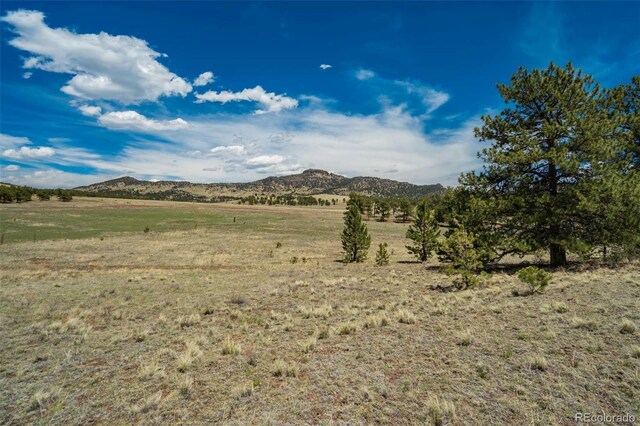 129 Eagle Nest Trl, Guffey, CO 80820