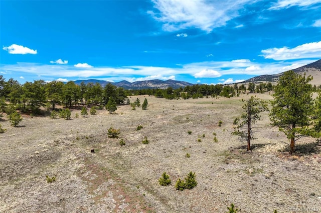 129 Eagle Nest Trl, Guffey, CO 80820