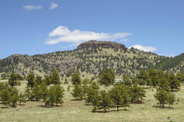 129 Eagle Nest Trl, Guffey, CO 80820