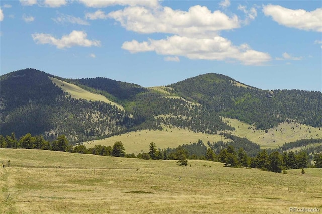 129 Eagle Nest Trl, Guffey, CO 80820