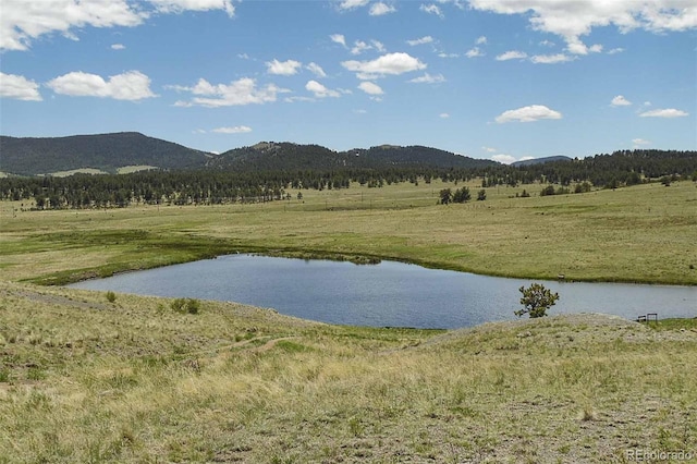 129 Eagle Nest Trl, Guffey, CO 80820