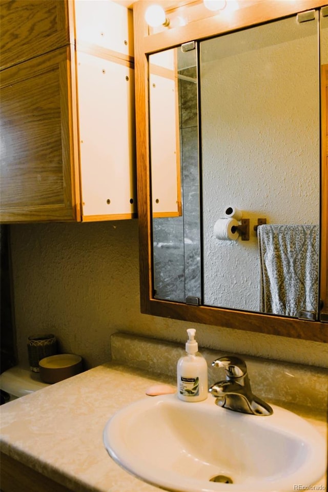 933 Skeel St, Brighton, CO 80601 - bathroom with vanity and a textured wall