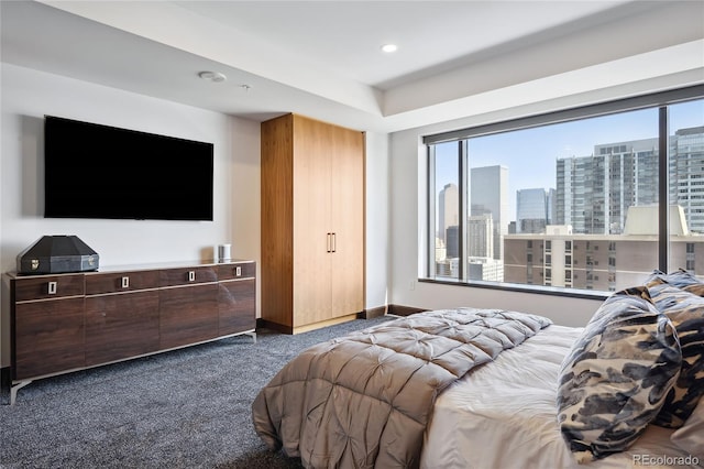 bedroom with dark carpet