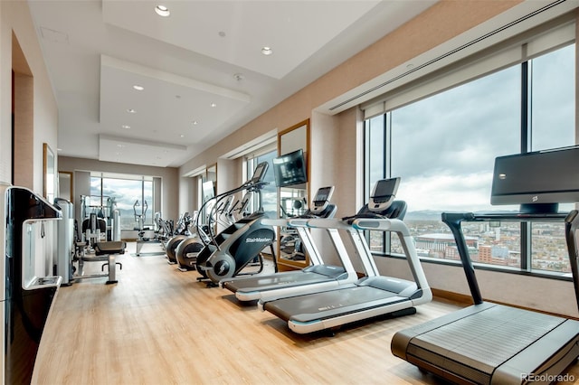 gym with light hardwood / wood-style floors