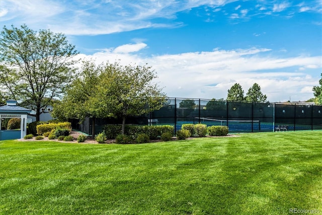 view of sport court featuring a lawn