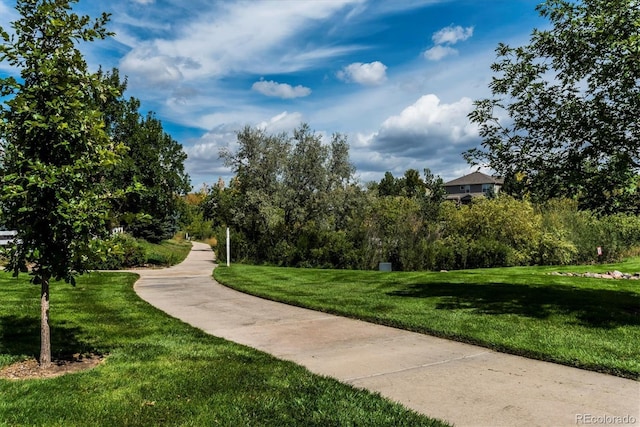 view of community with a yard