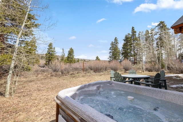 105 Windflower Ln, Frisco, CO 80443 - view of yard with a hot tub