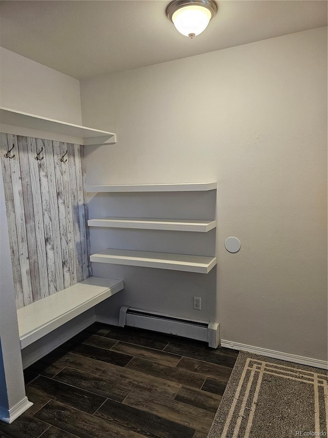 spacious closet featuring dark hardwood / wood-style floors and baseboard heating