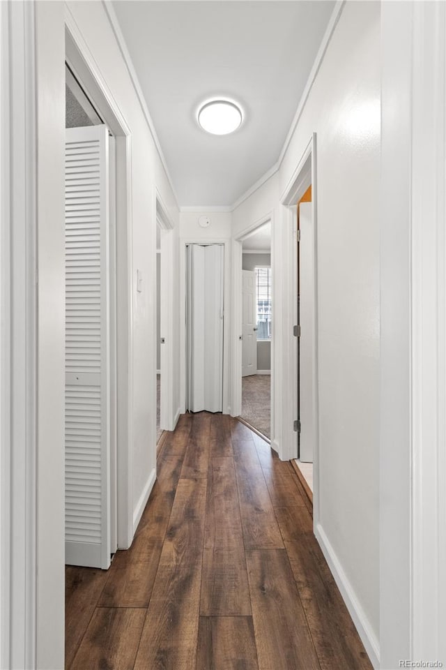 hall with crown molding and dark hardwood / wood-style floors