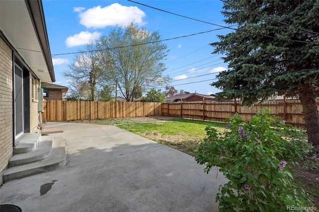 view of yard with a fenced backyard and a patio
