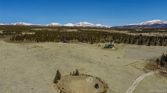 Thurber, Fairplay, CO 80440 - photo 5