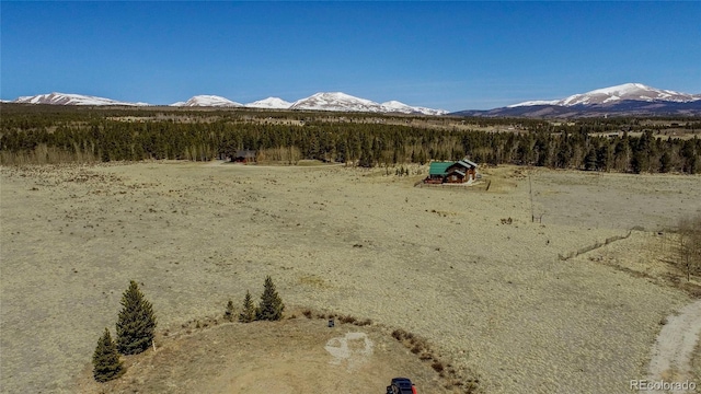 Thurber, Fairplay, CO 80440 - photo 8