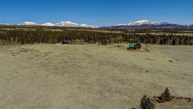 Thurber, Fairplay, CO 80440 - photo 9