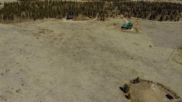 Thurber, Fairplay, CO 80440 - photo 10