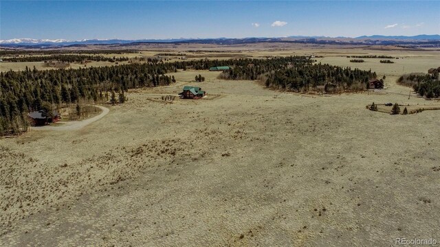 Thurber, Fairplay, CO 80440 - photo 13
