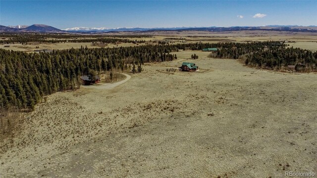 Thurber, Fairplay, CO 80440 - photo 14
