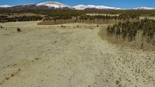 Thurber, Fairplay, CO 80440 - photo 16