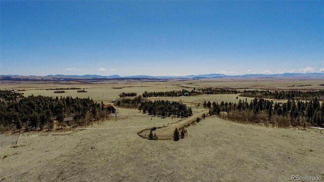 Thurber, Fairplay, CO 80440 - photo 18