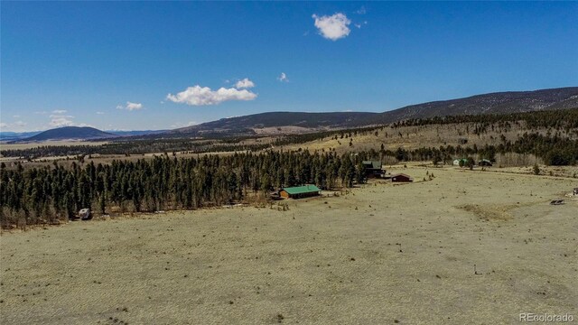 Thurber, Fairplay, CO 80440 - photo 19