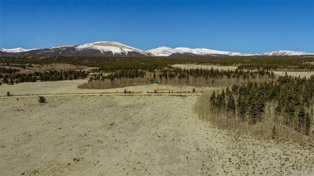 Thurber, Fairplay, CO 80440 - photo 20
