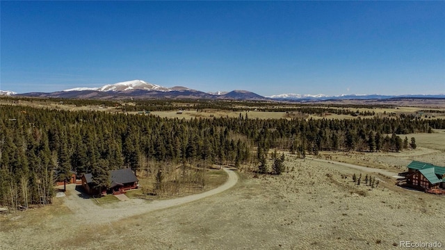 Thurber, Fairplay, CO 80440 - photo 21