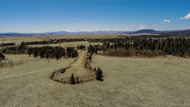Thurber, Fairplay, CO 80440 - photo 22