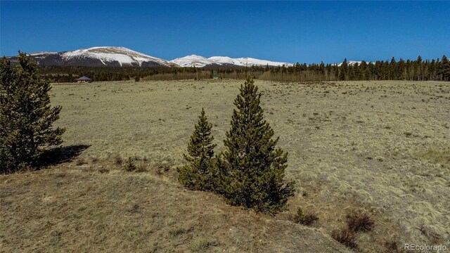 Thurber, Fairplay, CO 80440 - photo 23