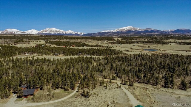 Thurber, Fairplay, CO 80440 - photo 27
