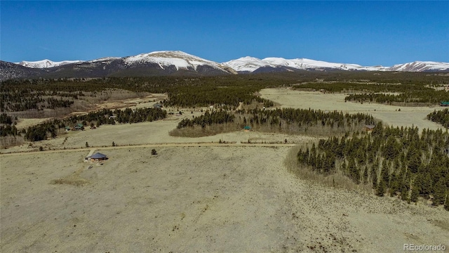 Thurber, Fairplay, CO 80440 - photo 28