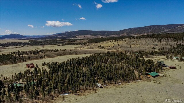 Thurber, Fairplay, CO 80440 - photo 29