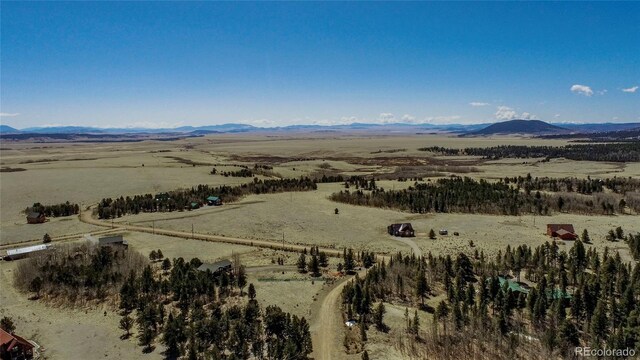 Thurber, Fairplay, CO 80440 - photo 30