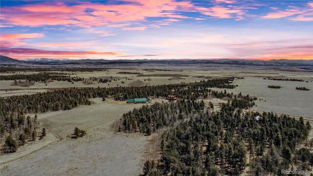 Thurber, Fairplay, CO 80440 - photo 39