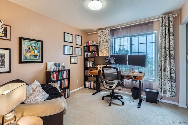 5535 Flanders Way, Denver, CO 80249 - office featuring carpet flooring and baseboards