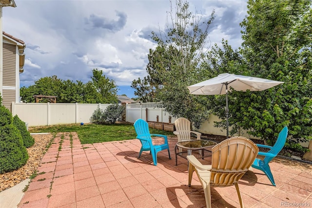 5535 Flanders Way, Denver, CO 80249 - fenced backyard featuring a patio area and an outdoor fire pit