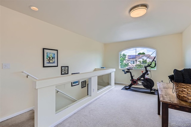 5535 Flanders Way, Denver, CO 80249 - workout area with carpet and baseboards