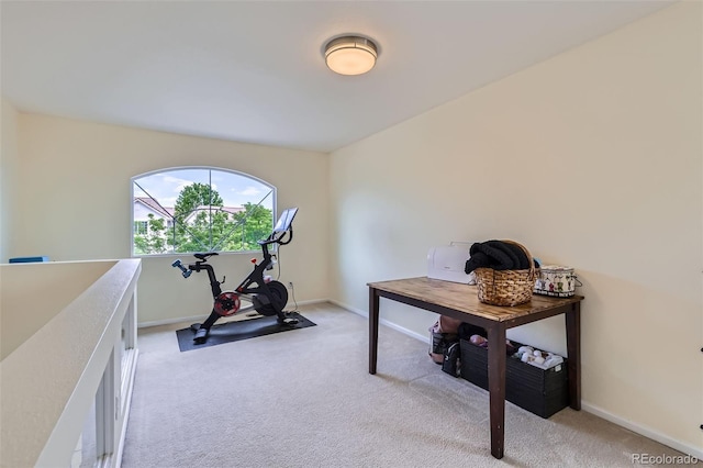 5535 Flanders Way, Denver, CO 80249 - workout room with light carpet