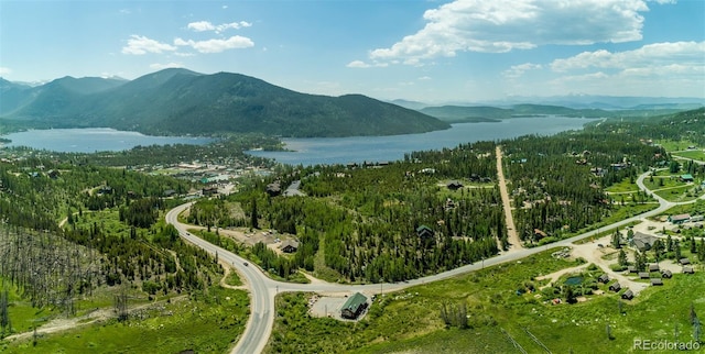 39 County Road 48, Grand Lake, CO 80447 - photo 29