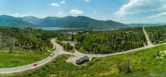 39 County Road 48, Grand Lake, CO 80447 - photo 34
