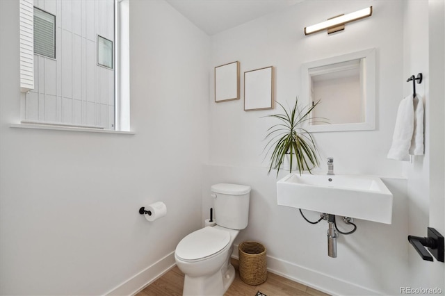 3101 W 47th Ave Unit 14, Denver, CO 80211 - half bath with wood finished floors, baseboards, toilet, and a sink