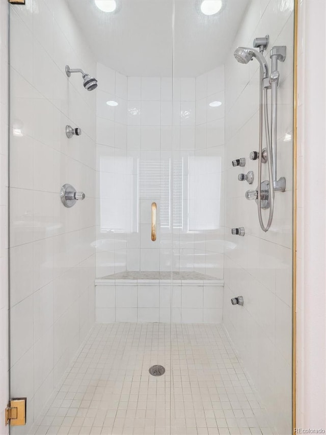 902 Anaconda Ct, Castle Rock, CO 80108 - bathroom featuring a stall shower