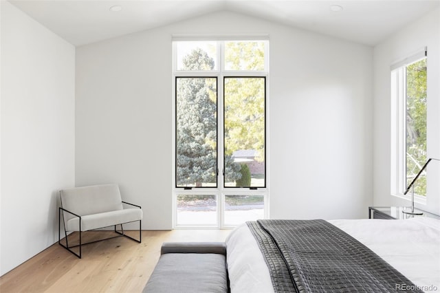 bedroom with vaulted ceiling, light hardwood / wood-style flooring, and multiple windows