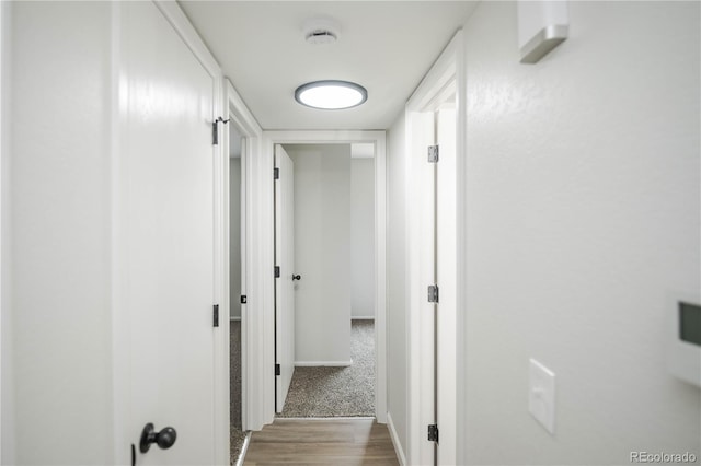 19385 E Batavia Pl, Aurora, CO 80011 - photo 13