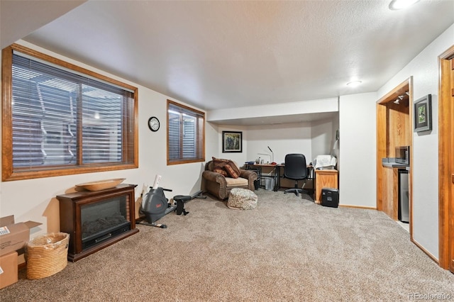 interior space featuring carpet floors