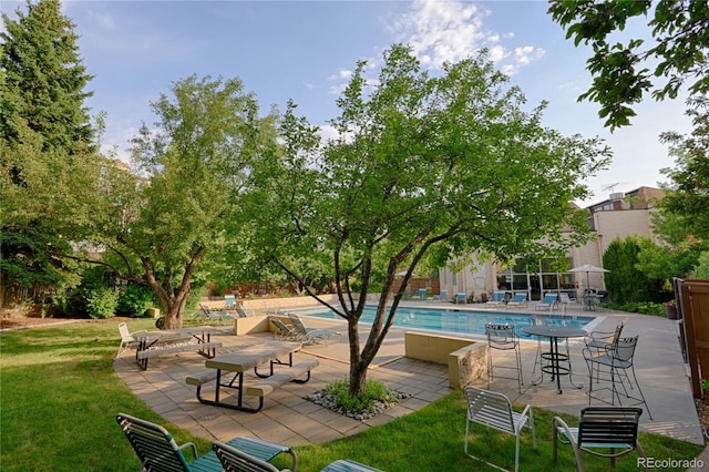 view of swimming pool with a patio and a lawn