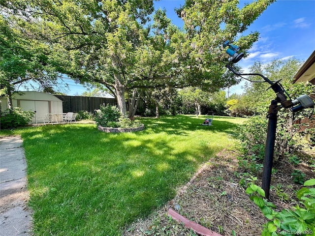 10425 Franklin Way, Northglenn, CO 80233 - view of yard featuring a shed