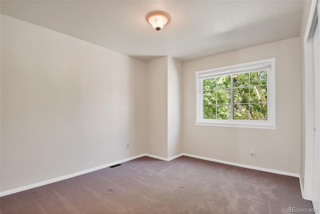 6443 Laguna Cir, Highlands Ranch, CO 80130 - photo 20