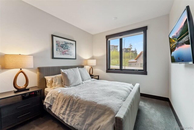 14 E Baron Way, Silverthorne, CO 80498 - bedroom with dark colored carpet and baseboards