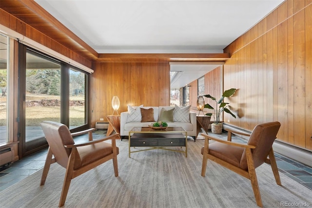 sitting room with plenty of natural light, stone tile flooring, and wooden walls